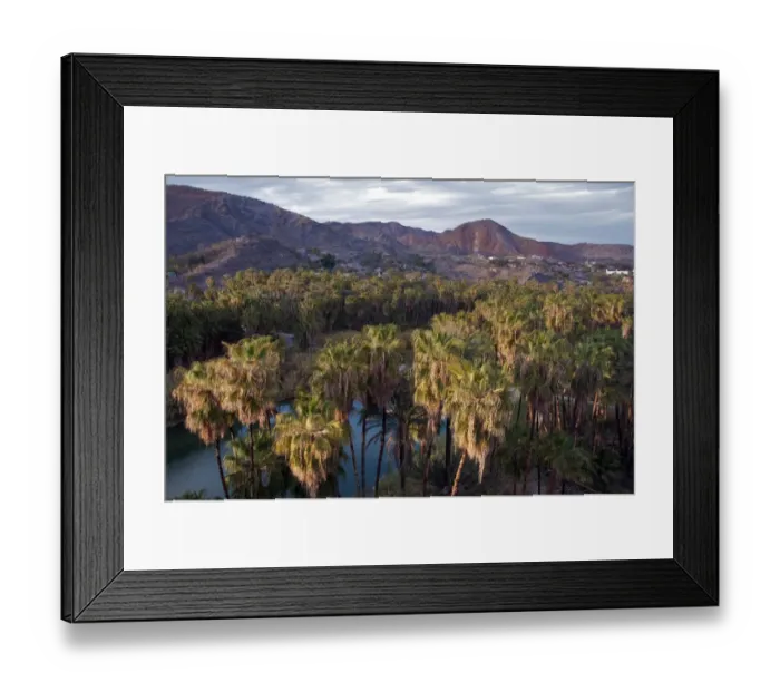 Framed Print : View of palm trees, river and oasis town in valley, Mulege, Baja California Sur, Mexico, march Framed Print : View of palm trees, river and oasis town in valley, Mulege, Baja California Sur, Mexico, march