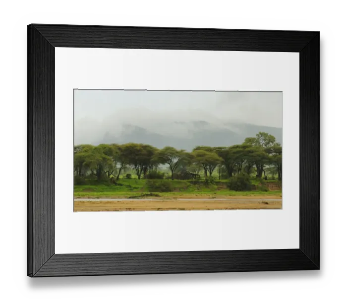 Framed Print : View of dry riverbed, trees and low cloud, Ruaha N. P. Tanzania Framed Print : View of dry riverbed, trees and low cloud, Ruaha N. P. Tanzania