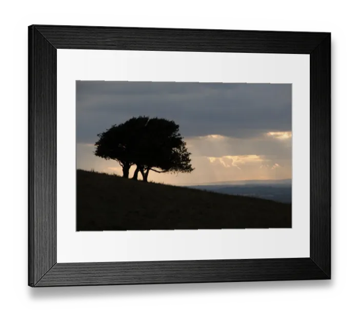 Framed Print : Trees on hillside silhouetted at sunset, Fulking Escarpment, near Devils Dyke, South Downs N. P Framed Print : Trees on hillside silhouetted at sunset, Fulking Escarpment, near Devils Dyke, South Downs N. P