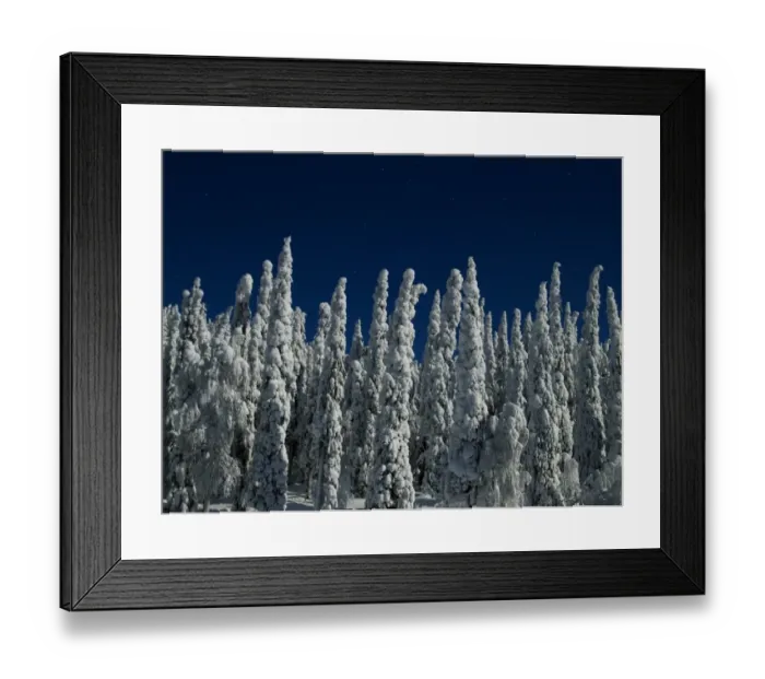 Framed Print : Moonlit snow covered taiga forest at night during full moon, Kuusamo, Oulu, Finland, february Framed Print : Moonlit snow covered taiga forest at night during full moon, Kuusamo, Oulu, Finland, february