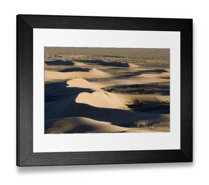 Framed Print : View of sand dunes in desert habitat, Khongoryn Els Sand Dunes, Southern Gobi Desert, Mongolia, october Framed Print : View of sand dunes in desert habitat, Khongoryn Els Sand Dunes, Southern Gobi Desert, Mongolia, october