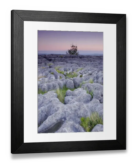 Framed Print : Limestone pavement and grasses at twilight, Malham Cove, Malhamdale, Yorkshire Dales N. P Framed Print : Limestone pavement and grasses at twilight, Malham Cove, Malhamdale, Yorkshire Dales N. P