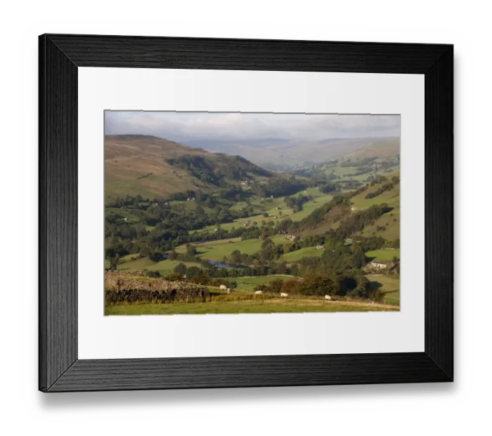 Framed Print : View of farmland in river valley, with sheep, stone barns and drystone walls, River Swale, Swaledale Framed Print : View of farmland in river valley, with sheep, stone barns and drystone walls, River Swale, Swaledale