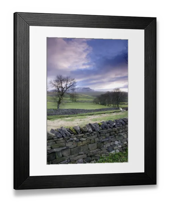Framed Print : View of drystone walls, bare trees, sheep grazing in pasture and fell after light snow, Pen-y-ghent in distance Framed Print : View of drystone walls, bare trees, sheep grazing in pasture and fell after light snow, Pen-y-ghent in distance