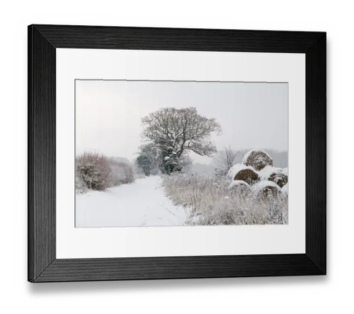 Framed Print : View of snow covered lane and round straw bales, Postwick, Norfolk, England, december Framed Print : View of snow covered lane and round straw bales, Postwick, Norfolk, England, december