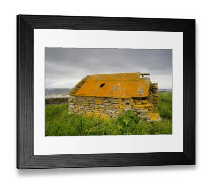 Framed Print : Abandoned farm building covered with lichen, Rerwick Head, Mainland, Orkney, Scotland, june Framed Print : Abandoned farm building covered with lichen, Rerwick Head, Mainland, Orkney, Scotland, june
