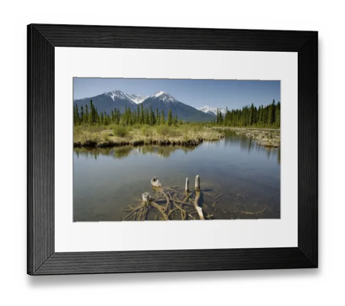 Framed Print : View of lake and distant mountains, Vermillion Lakes, Banff N. P. Rocky Mountains, Alberta, Canada, june