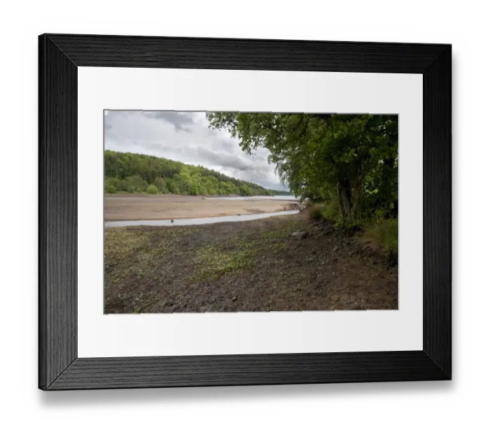 Framed Print : Low water level at reservoir, Fewston Reservoir, North Yorkshire, England, may Framed Print : Low water level at reservoir, Fewston Reservoir, North Yorkshire, England, may