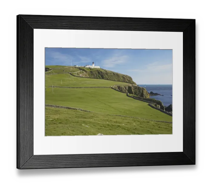 Framed Print : View of clifftop pasture and distant lighthouse, Sumburgh Head RSPB Reserve, Mainland, Shetland Islands, Scotland Framed Print : View of clifftop pasture and distant lighthouse, Sumburgh Head RSPB Reserve, Mainland, Shetland Islands, Scotland