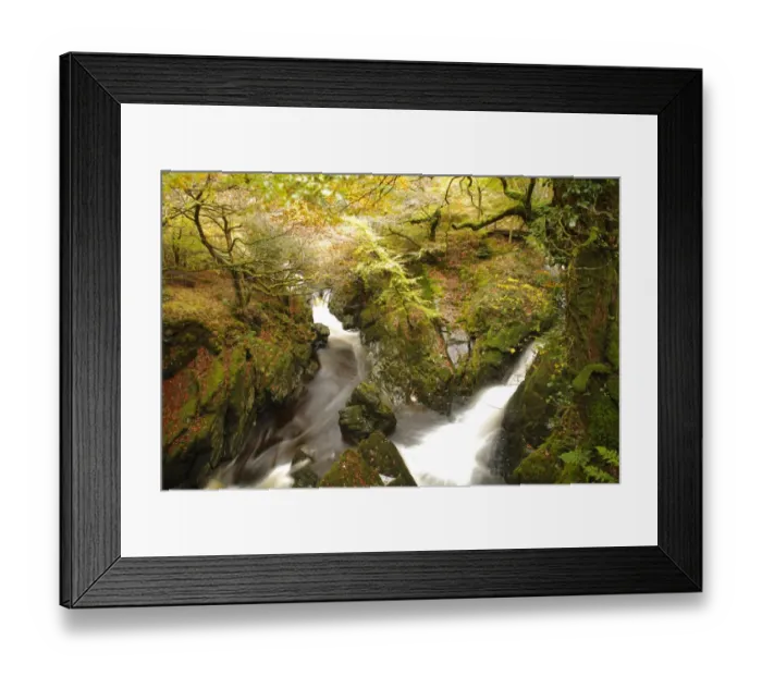 Framed Print : Waterfalls on river in woodland habitat, River Ystwyth, The Hafod, near Pontrhydygroes, Ceredigion, Wales, october Framed Print : Waterfalls on river in woodland habitat, River Ystwyth, The Hafod, near Pontrhydygroes, Ceredigion, Wales, october