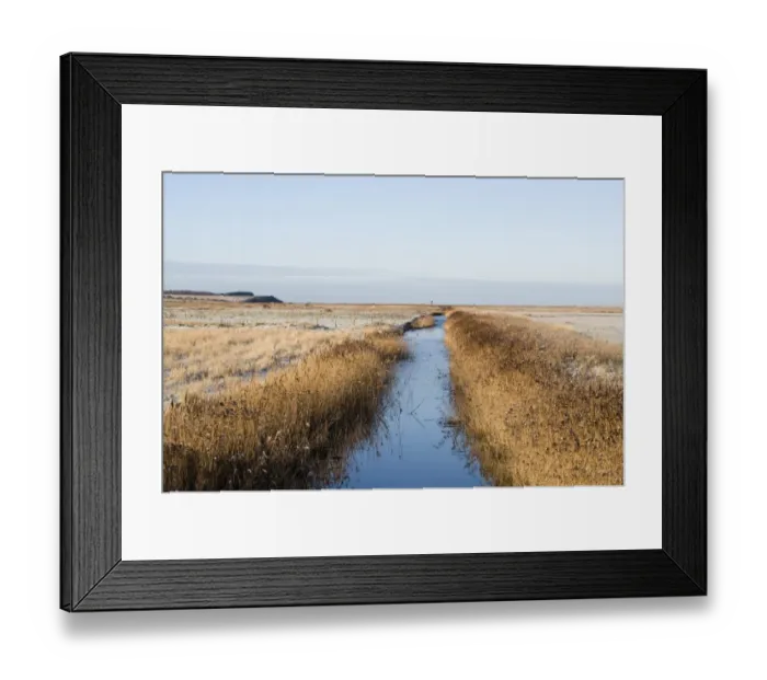 Framed Print : View of reed fringed ditch in snow covered coastal wetland habitat, Salthouse, Norfolk, England, january Framed Print : View of reed fringed ditch in snow covered coastal wetland habitat, Salthouse, Norfolk, England, january