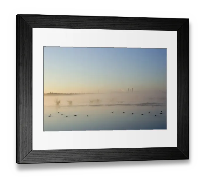 Framed Print : View of misty pool with ducks and distant powerstation, Fairburn Ings RSPB Reserve, West Yorkshire, England, july Framed Print : View of misty pool with ducks and distant powerstation, Fairburn Ings RSPB Reserve, West Yorkshire, England, july