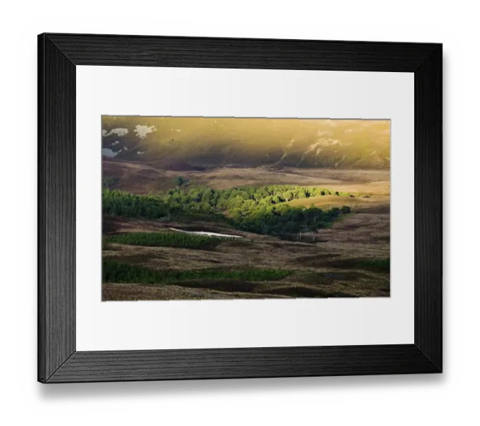 Framed Print : View of pine forest habitat below mountain summit, Caledonian Pine Forest, Cairngorms N. P. Highlands, Scotland, winter Framed Print : View of pine forest habitat below mountain summit, Caledonian Pine Forest, Cairngorms N. P. Highlands, Scotland, winter