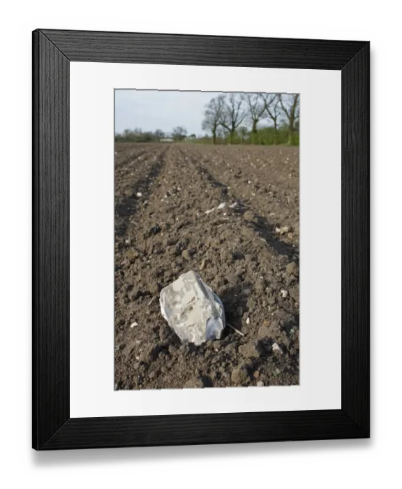 Framed Print : Flint on soil of cultivated arable field, Bacton, Suffolk, England, april Framed Print : Flint on soil of cultivated arable field, Bacton, Suffolk, England, april