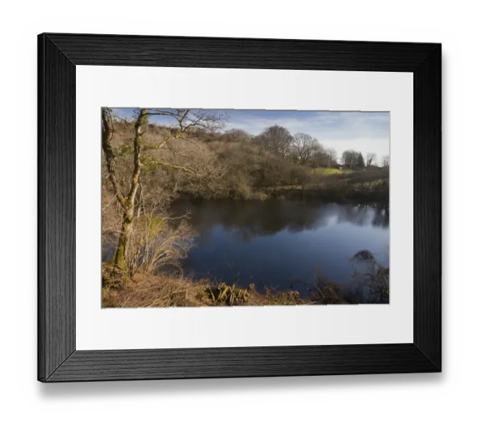 Framed Print : Turlough (seasonal lake), only turlough in mainland Britain, Carmel National Nature Reserve, Carmarthenshire, Wales Framed Print : Turlough (seasonal lake), only turlough in mainland Britain, Carmel National Nature Reserve, Carmarthenshire, Wales