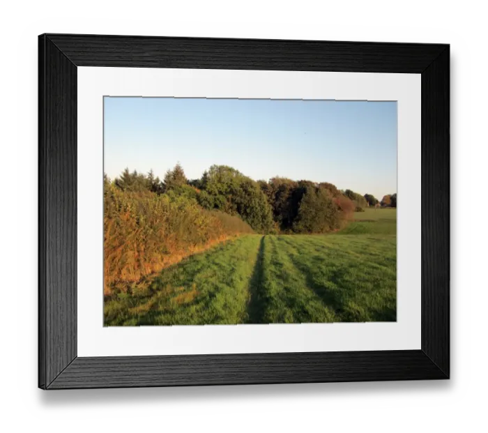 Framed Print : View of fields at edge of woodland, Chesham Bois Woods, Chiltern Hills, Buckinghamshire, England, september Framed Print : View of fields at edge of woodland, Chesham Bois Woods, Chiltern Hills, Buckinghamshire, England, september