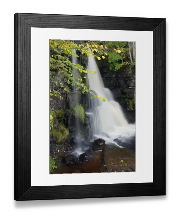 Framed Print : Waterfall on stream in woodland, East Gill Force, Keld, Swaledale, Yorkshire Dales N. P Framed Print : Waterfall on stream in woodland, East Gill Force, Keld, Swaledale, Yorkshire Dales N. P