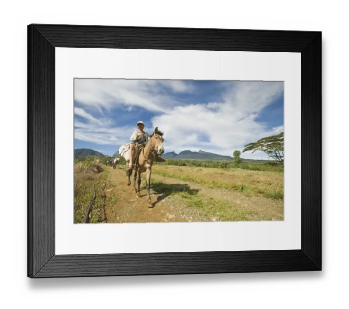 Framed Print : Boy riding pack horse, descending from inactive volcano, Mount Kitanglad, Kitanglad Mountain Range, Mindanao Island Framed Print : Boy riding pack horse, descending from inactive volcano, Mount Kitanglad, Kitanglad Mountain Range, Mindanao Island