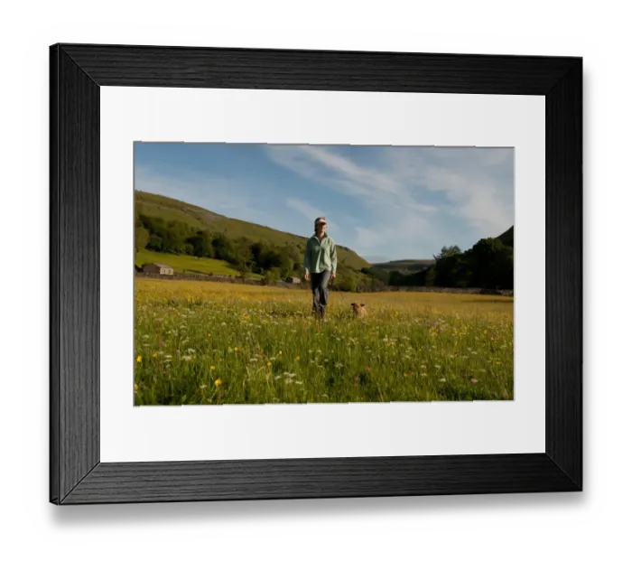Framed Print : Domestic Dog, walked by owner in wildflower meadow, Muker, Swaledale, Yorkshire Dales N. P Framed Print : Domestic Dog, walked by owner in wildflower meadow, Muker, Swaledale, Yorkshire Dales N. P