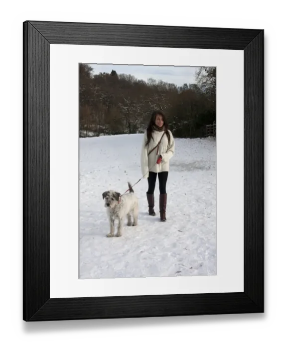 Framed Print : Domestic Dog, Greek Mountain Dog, elderly adult, being walked on extendable lead by young woman owner in snow, Surrey Framed Print : Domestic Dog, Greek Mountain Dog, elderly adult, being walked on extendable lead by young woman owner in snow, Surrey