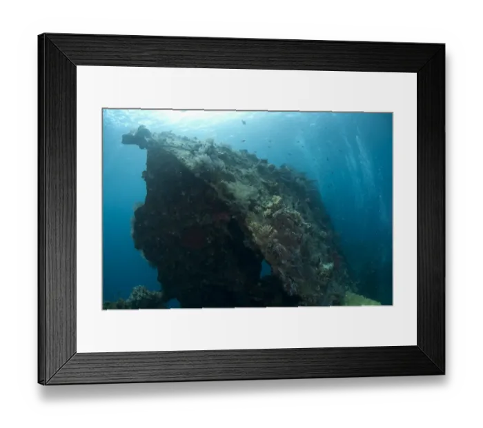 Framed Print : View of coral encrusted shipwreck, Liberty Wreck, Tulamben, Bali, Lesser Sunda Islands, Indonesia Framed Print : View of coral encrusted shipwreck, Liberty Wreck, Tulamben, Bali, Lesser Sunda Islands, Indonesia
