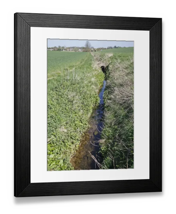 Framed Print : Water filled drainage ditch in arable farmland, Barking Tye, Suffolk, England, april Framed Print : Water filled drainage ditch in arable farmland, Barking Tye, Suffolk, England, april