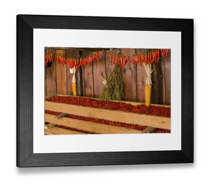 Framed Print : Rosehips, collected for drying for use in herbal tea and jams, with maize and chilli peppers, in old Saxon village