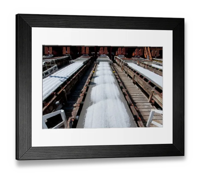 Framed Print : Commercial salt production, salt on conveyor belts, Exportadora de Sal (ESSA) saltworks Framed Print : Commercial salt production, salt on conveyor belts, Exportadora de Sal (ESSA) saltworks