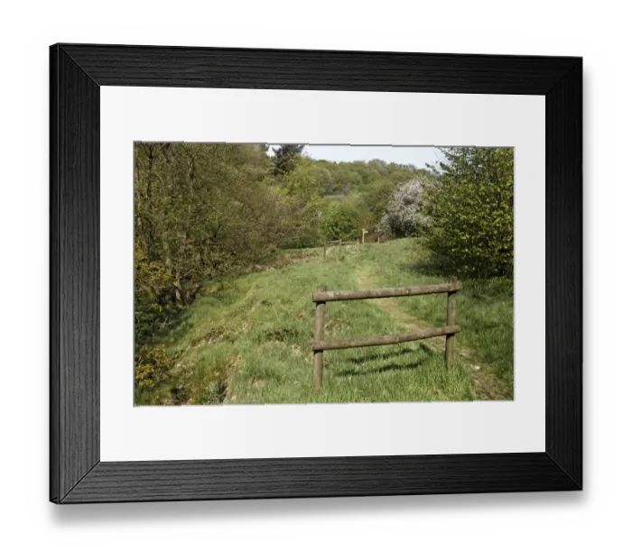 Framed Print : Pathway through woodland habitat, Coombes Valley RSPB Reserve, Staffordshire, England, april Framed Print : Pathway through woodland habitat, Coombes Valley RSPB Reserve, Staffordshire, England, april