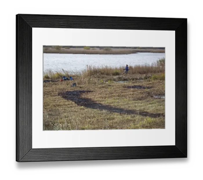 Framed Print : Volunteer warden performing annual reedbed cutting and burning around Island Mere Hide, Minsmere RSPB Reserve, Suffolk Framed Print : Volunteer warden performing annual reedbed cutting and burning around Island Mere Hide, Minsmere RSPB Reserve, Suffolk