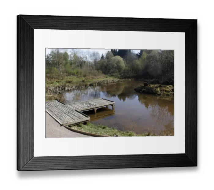 Framed Print : Pond with viewing platform, Nagshead RSPB Reserve, Forest of Dean, Gloucestershire, England, april Framed Print : Pond with viewing platform, Nagshead RSPB Reserve, Forest of Dean, Gloucestershire, England, april