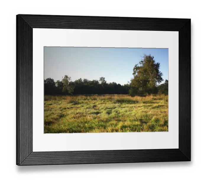 Framed Print : View of wet pasture and fen habitat, source of River Little Ouse, Little Ouse Headwaters Project, The Frith Framed Print : View of wet pasture and fen habitat, source of River Little Ouse, Little Ouse Headwaters Project, The Frith