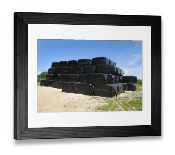Framed Print : Pile of black plastic wrapped silage bales, Sussex, England, june Framed Print : Pile of black plastic wrapped silage bales, Sussex, England, june