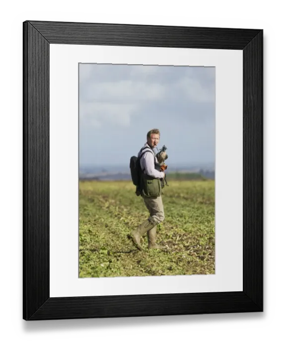 Framed Print : Falconry, falconer with hooded Peregrine Falcon (Falco peregrinus), walking in field Framed Print : Falconry, falconer with hooded Peregrine Falcon (Falco peregrinus), walking in field