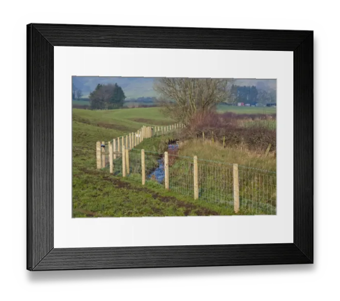 Framed Print : Stream flowing through pasture, protected from livestock with new wire mesh fencing, tributary of River Hodder
