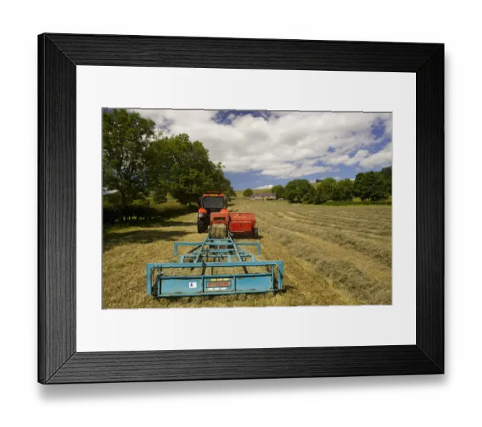 Framed Print : Zetor Proxima 75 tractor with flat eight bale system, baling in traditional hay meadow, Upper Teesdale, County Durham Framed Print : Zetor Proxima 75 tractor with flat eight bale system, baling in traditional hay meadow, Upper Teesdale, County Durham
