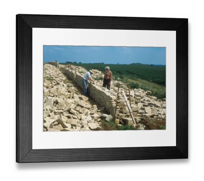 Framed Print : Drystone wall under construction, men using Cotswold stone, Gloucestershire, England Framed Print : Drystone wall under construction, men using Cotswold stone, Gloucestershire, England