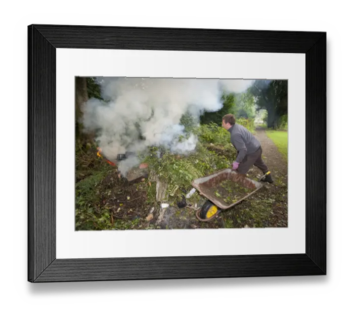 Framed Print : Gardener burning garden rubbish on bonfire, Chipping, Lancashire, England, august Framed Print : Gardener burning garden rubbish on bonfire, Chipping, Lancashire, England, august