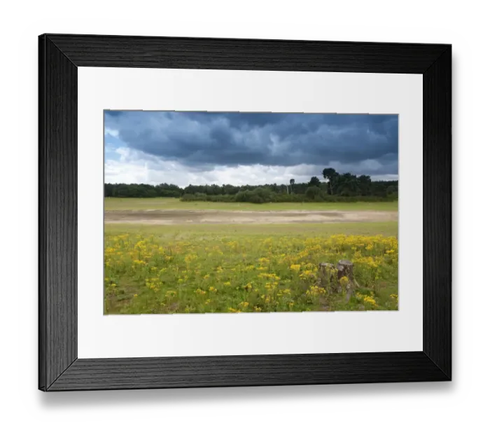 Framed Print : View of breckland habitat with dried out pond, East Wretham Heath Nature Reserve, Norfolk, England, august Framed Print : View of breckland habitat with dried out pond, East Wretham Heath Nature Reserve, Norfolk, England, august