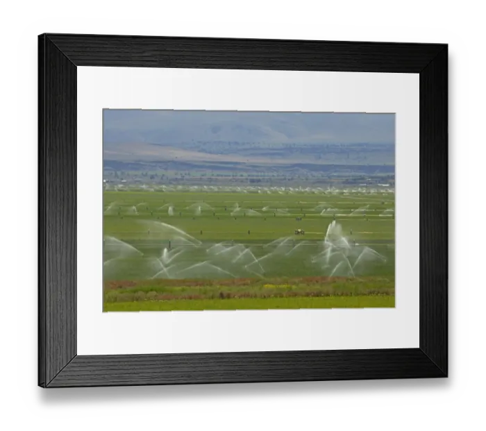 Framed Print : Irrigating crop in field with automated system, farmland in fertile valley, Klamath Falls area, Oregon, U. S. A Framed Print : Irrigating crop in field with automated system, farmland in fertile valley, Klamath Falls area, Oregon, U. S. A