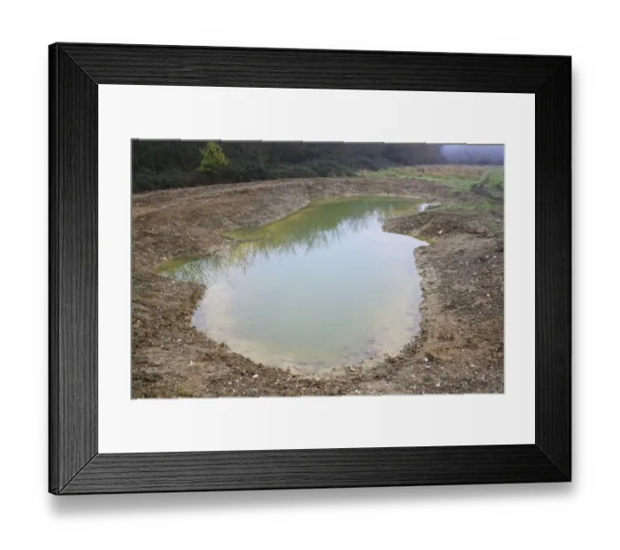 Framed Print : Newly dug pond at edge of arable farmland, Millenium Ponds Project, Grove Farm Reserve, Thurston, Suffolk, England Framed Print : Newly dug pond at edge of arable farmland, Millenium Ponds Project, Grove Farm Reserve, Thurston, Suffolk, England