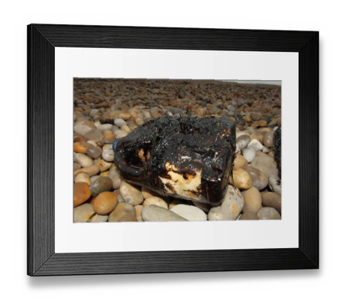 Framed Print : Oiled plastic container on beach, Chesil Beach, Dorset, England, july Framed Print : Oiled plastic container on beach, Chesil Beach, Dorset, England, july