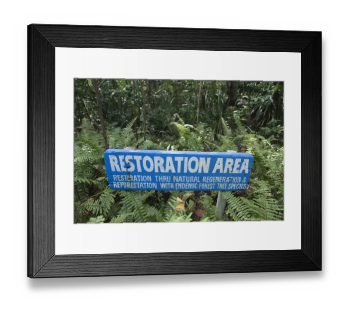Framed Print : Restoration Area sign in forest, restoration through natural regeneration Framed Print : Restoration Area sign in forest, restoration through natural regeneration
