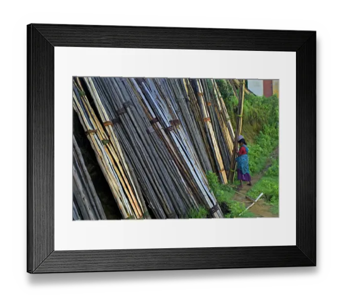 Framed Print : Woman unloading and stacking bundles of firewood logs, Vattavada, Western Ghats, Kerala, India Framed Print : Woman unloading and stacking bundles of firewood logs, Vattavada, Western Ghats, Kerala, India