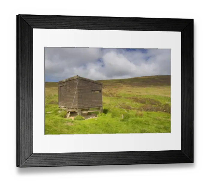 Framed Print : Bird hide on moorland habitat, Cottascarth and Rendal Moss RSPB Reserve, Mainland, Orkney, Scotland, june Framed Print : Bird hide on moorland habitat, Cottascarth and Rendal Moss RSPB Reserve, Mainland, Orkney, Scotland, june