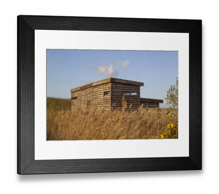Framed Print : Rear view of South Hide, Minsmere RSPB Reserve, Suffolk, England, november Framed Print : Rear view of South Hide, Minsmere RSPB Reserve, Suffolk, England, november