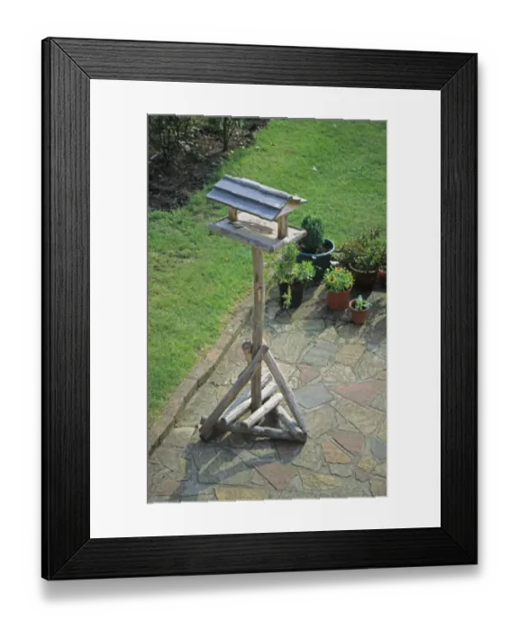 Framed Print : Birdtable on patio in garden, England Framed Print : Birdtable on patio in garden, England