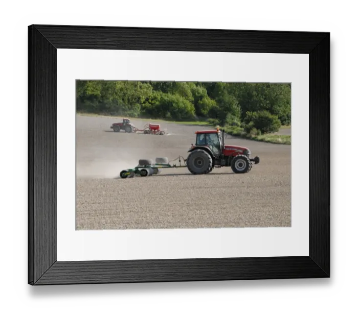 Framed Print : Tractors drilling and rolling wheat crop on chalky land, near Sharpenhoe, Chiltern Hills, Bedfordshire, England