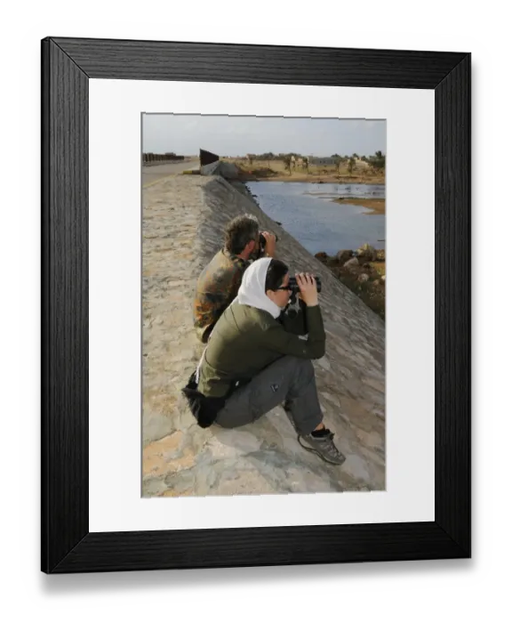 Framed Print : Ornithologists with binoculars, surveying birds in wadi along road, Socotra, Yemen, december Framed Print : Ornithologists with binoculars, surveying birds in wadi along road, Socotra, Yemen, december
