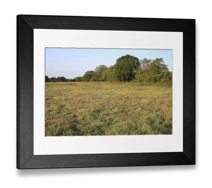 Framed Print : View of rough pasture and acid grassland habitat at dawn, Little Ouse Headwaters Project, The Frith, South Lopham Framed Print : View of rough pasture and acid grassland habitat at dawn, Little Ouse Headwaters Project, The Frith, South Lopham
